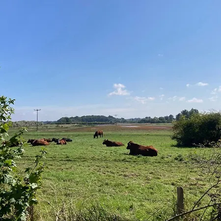 Bades Huk Haus 7 24 - Eg * Hohen Wieschendorf